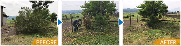 草刈り・お手入れ・除草 Before After
